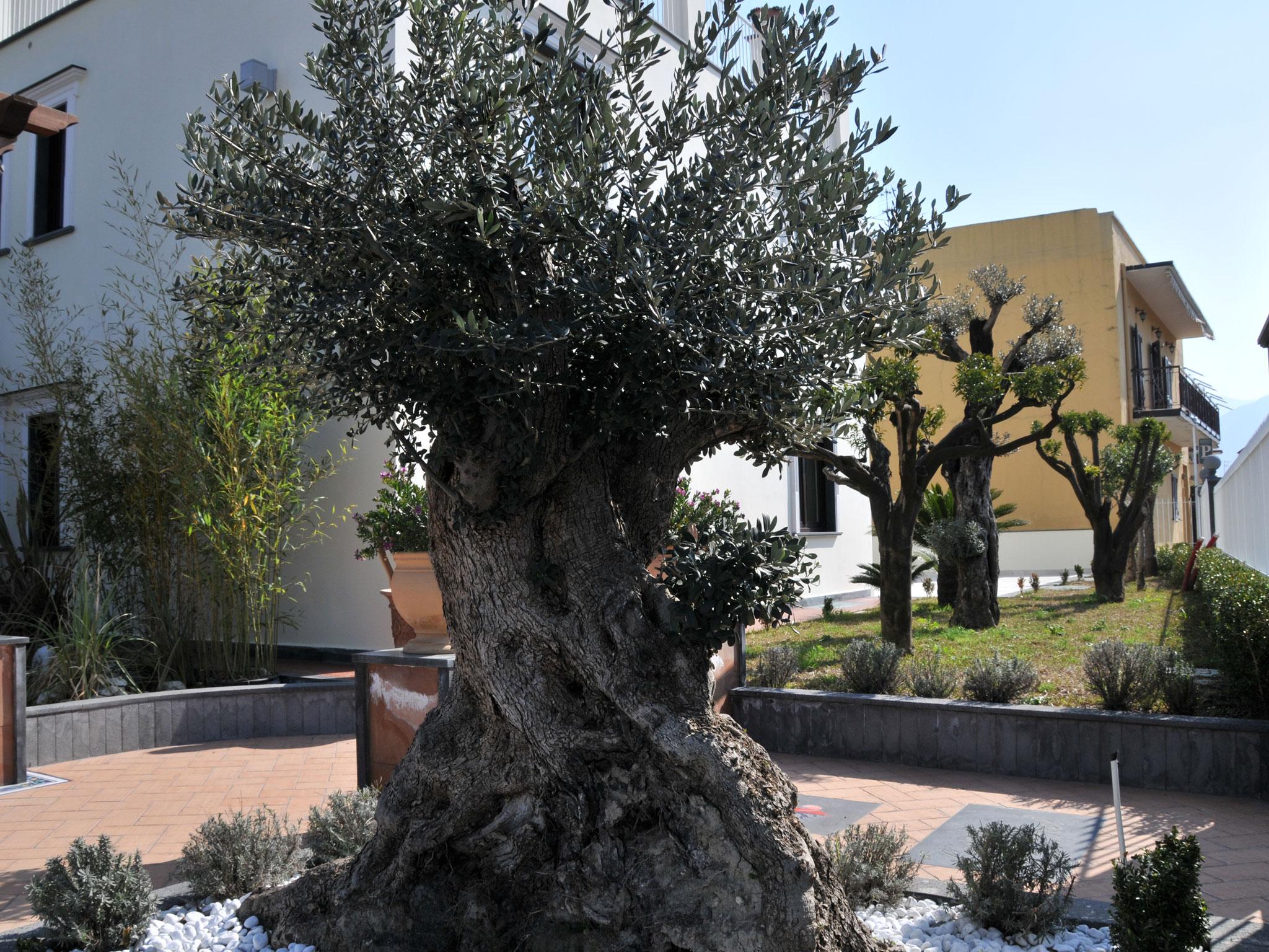 Costa Hotel Pompei Exterior photo